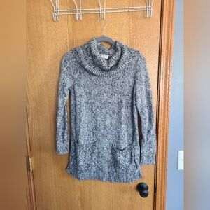 Loft Turtleneck Sweater